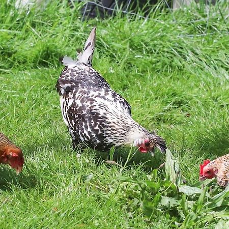 Gite A La Ferme Questembert Экстерьер фото